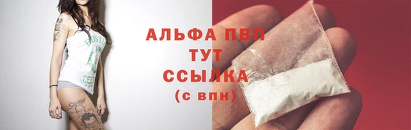 дмт Абаза