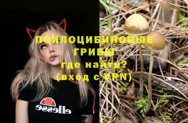 дмт Абаза